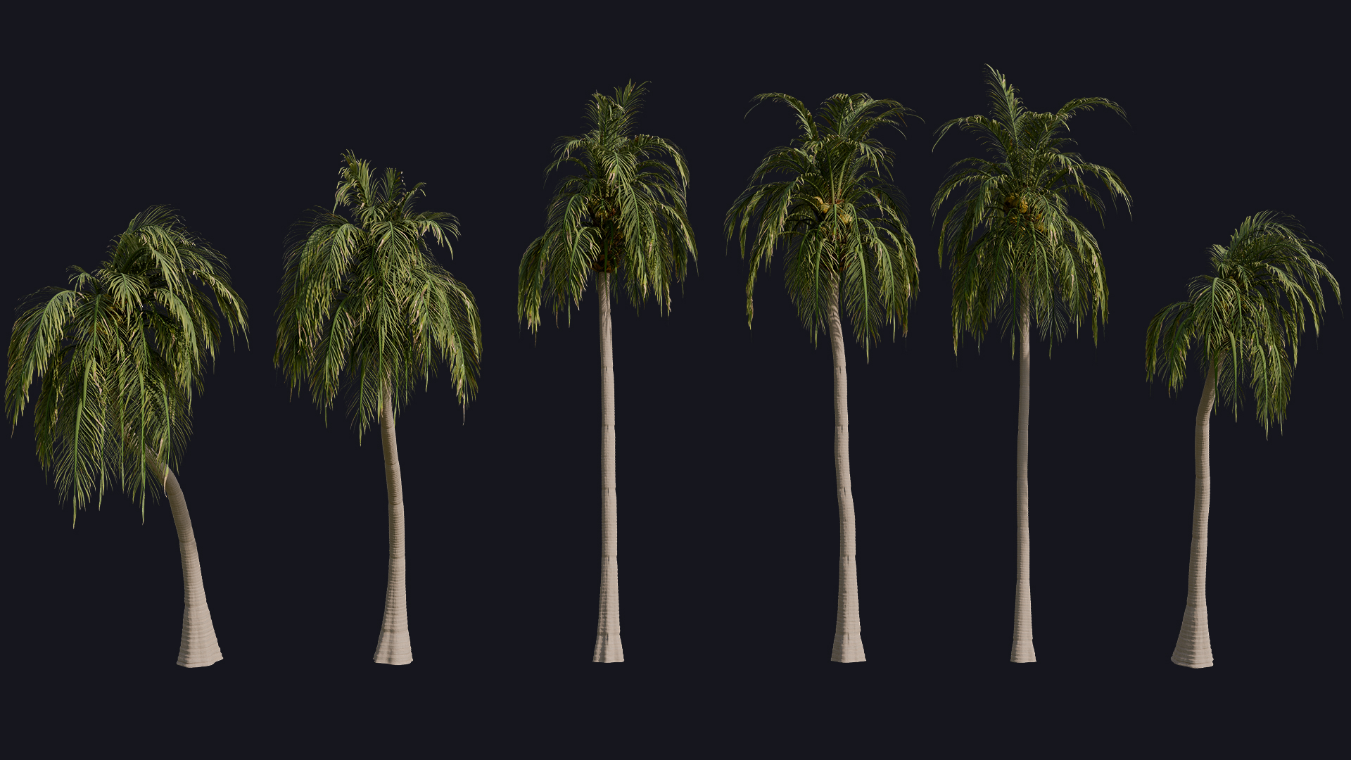 Coconut Trees preview